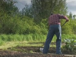 Gardening Stock Footage