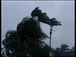 Caribbean: Hurricane Dennis, USA: Hurricane Katrina News Clip