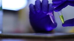 Scientist looking at plants in test tube in laboratory, Slow motion Stock Footage