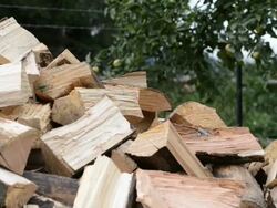 Wood Chopping HD Real Time Dolly Shot Stock Footage