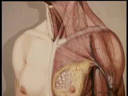 MEDICAL PICTURES EXHIBITION News Clip