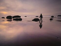 MS TS Shot of Man walking on beach at sunset / Port Orford, Oregon, United States  Stock Footage