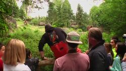 SeattleÃ¢Â€Â™s Famed Fish Tossing Goes To The Bears Instructional Video