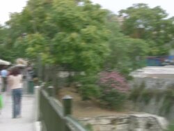 MS Pan Street on Thission to Stoa of Attalos / Athens, Attica, Greece Stock Footage