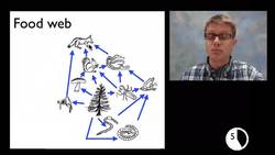 LS2A - Interdependent Relationships in Ecosystems Instructional Video