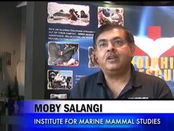 The calamitous oil spill in the Gulf of Mexico has forced the shutdown of the gulf's rich fishing grounds, and environmentalists are expressing concerns about the spill's impact on the region's marine life. News Clip