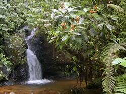 Rainforest waterfall time-lapse Stock Footage