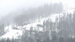 CLEAN : Olympics : competitions resumed in light f News Clip