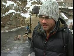 Snow Monkeys enjoy a warm bath to take away the chill of winter News Clip