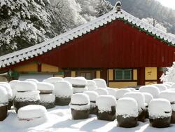 MS Shot of snow covered crock in Baegyangsa Temple / Jeongeup, Jeollabuk-do, South Korea Stock Footage