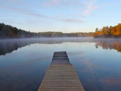 Autumn Mist Stock Footage