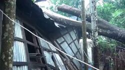 CLEAN : Bangladesh cleans up after killer cyclone News Clip