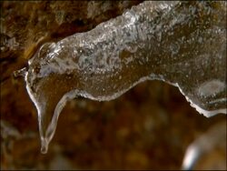 Melting ice with icicle dripping, Parque Natural Sierra Nevada, Andalucia, Spain Stock Footage