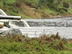 Culverts Stock Footage