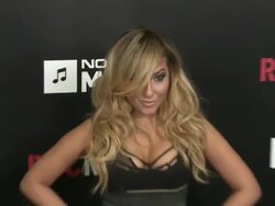 Adrienne Bailon at 2013 Roc Nation Pre-Grammy Brunch 2/9/2013 in West Hollywood, CA.(Footage by WireImage Video/Getty Images Entertainment Video) Stock Footage