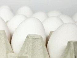 Many Eggs Stock Footage