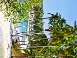 Tropical beach, palm tree and sea water Stock Footage