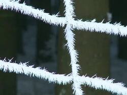 CU ZO Hoarfrost on wirefence / Kastel, Rhineland-Palatinate, Germany  Stock Footage