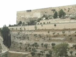 Jerusalem Wall and Valley Stock Footage