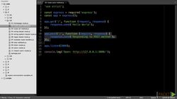 Web Development with Node.JS and MongoDB (Video 13) Instructional Video