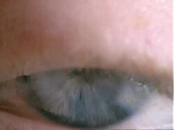 Human eye - CU blue eye, dilated pupil contracts, eyelid closes Stock Footage