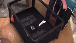 Baby fashion trends from the catwalk to the pushchair Instructional Video