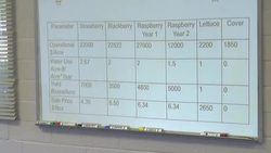 Strawberry fields forever with some help from mathematicians! Instructional Video