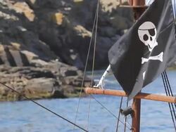 Pirate flag Stock Footage