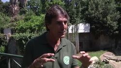 Zoo animal gets cool treat to help them cool off News Clip