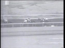 Jockey, Queen News Clip