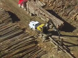 WS ARIEAL DS View of Bulldozer loading logs in truck / Maine, United States Stock Footage
