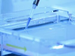 Scientist and bio lab experiment Stock Footage