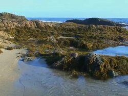 Rocky Sandy Shore Break Stock Footage