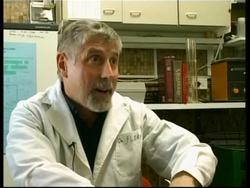 Single celled creature joins battle against cholesterol News Clip