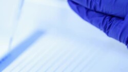 Scientist is mixing DNA on parafilm and loading into agarose,Slow motion Stock Footage