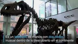 CLEAN : Descubren en Argentina dinosaurio carnivoro de nuevo linaje News Clip