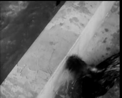 SYDNEY SUFFERS ""BIG WET"" News Clip