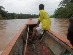 Boating along Quiquibey river, Bolivia, Amazon Stock Footage