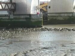 London: Thames River Barrier Flood Control, Pull from Sea Birds Stock Footage