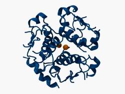 CGI showing space-filling three-dimensional molecular model of insulin Stock Footage