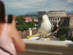 Seagulls of Rome and Coliseum Stock Footage