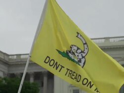 Tea Party Flag from Audit the IRS rally in DC Stock Footage