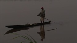 Medium shot of fisherman paddingly close to shore Stock Footage