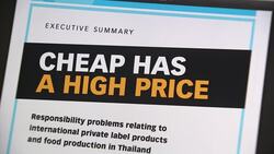 British man goes on trial accused of defaming food company over its  treatment of workers News Clip