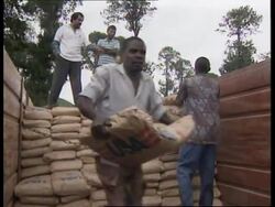 UGANDA: THOUSANDS OF ZAIREANS REFUGEES SEEK SAFETY AT KISORO CAMP News Clip