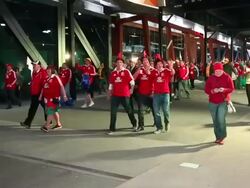 Australia v British & Irish Lions Game 2 Stock Footage