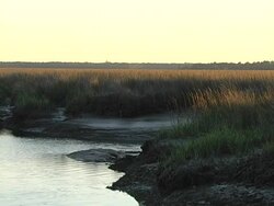 cuno creek Stock Footage