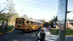 Elementary school with yellow buses outside News Clip