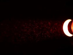 MS Shot of Dust particles catching light / London, United Kingdom  Stock Footage