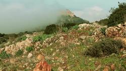 Palestine Instructional Video